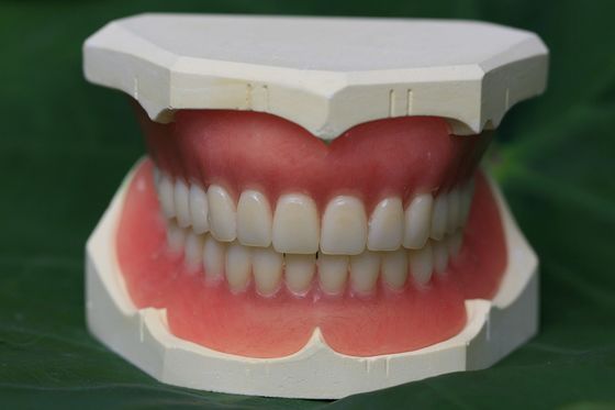 即時の総義歯ISO13485のアクリルの部分的な総義歯