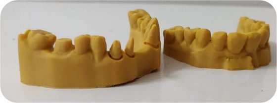 CAD CAMの感光性樹脂の合成の歯科3D印刷物モデル