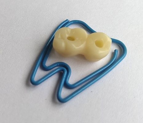 一時的なPMMAの一時的な王冠