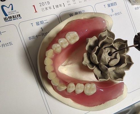 アクリルの部分的な総義歯の総義歯安定した快適なビット/秒の
