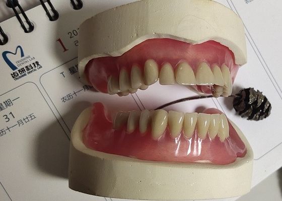 即時の総義歯ISO13485のアクリルの部分的な総義歯
