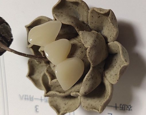 自然な色の樹脂は合成の王冠を基づかせていた
