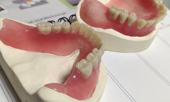 熱い治された取り外し可能で審美的でより低く部分的なアクリルの総義歯