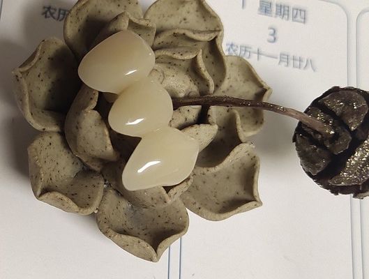 自然な色の樹脂は合成の王冠を基づかせていた