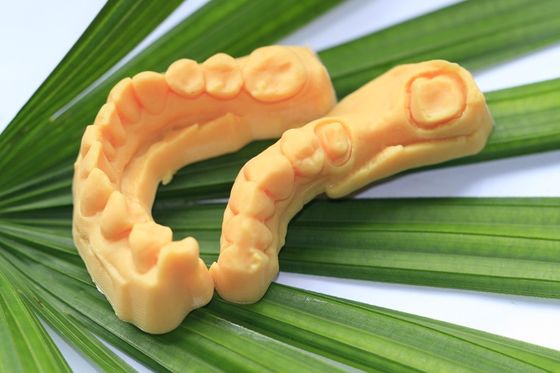 CAD CAMの感光性樹脂の合成の歯科3D印刷物モデル