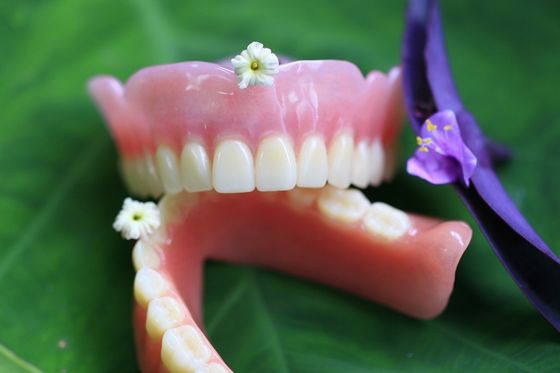 アクリルの部分的な総義歯の総義歯安定した快適なビット/秒の